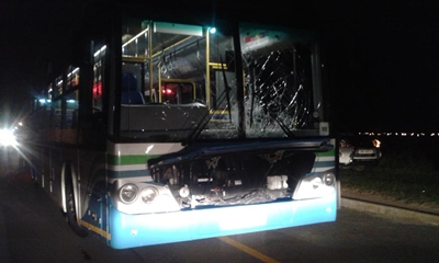 Horse hit by GO GEORGE bus